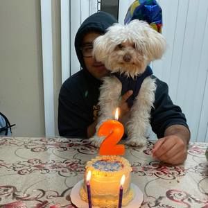 Meet your Posher, Jesus